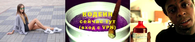 купить закладку  Никольское  Кодеиновый сироп Lean Purple Drank 