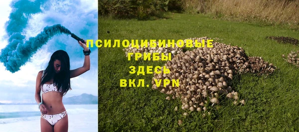 твердый Магас