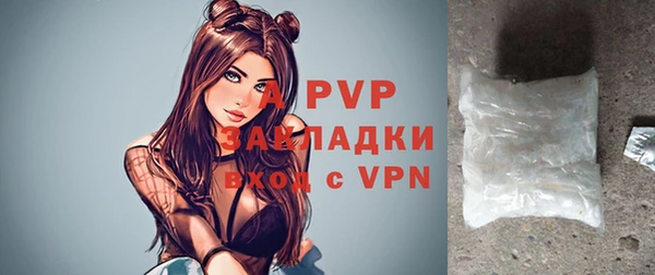 твердый Магас