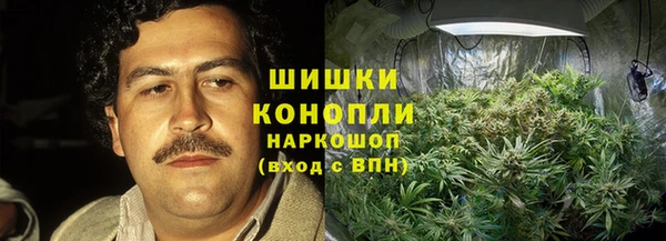 твердый Магас