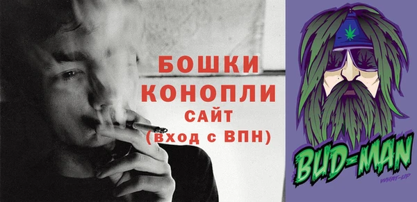 твердый Магас