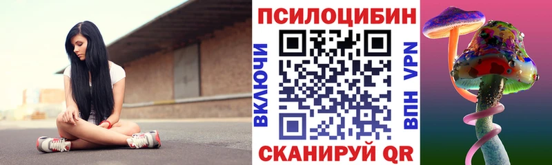 продажа наркотиков  Никольское  Псилоцибиновые грибы Psilocybine cubensis 